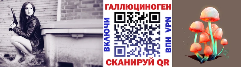 Псилоцибиновые грибы мицелий  блэк спрут онион  Пошехонье  что такое наркотик 